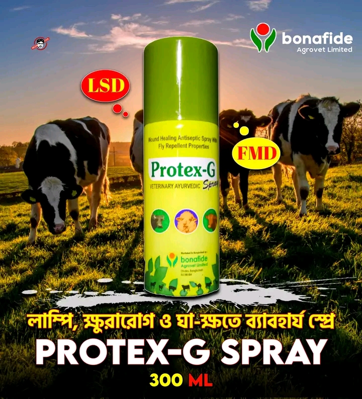 Picture of Disinfectant 6